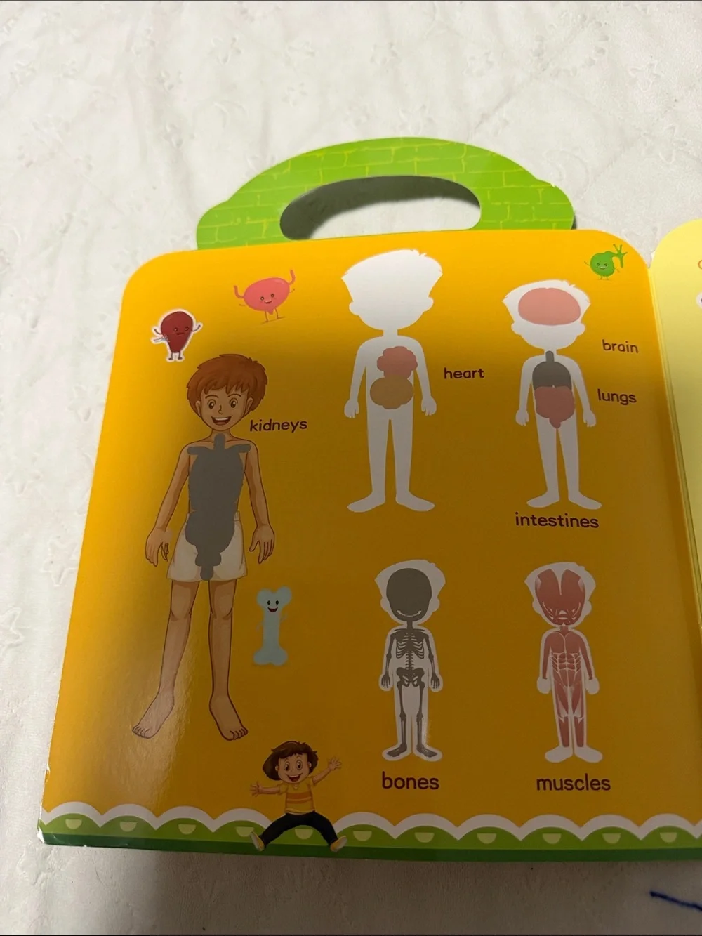 My Body! Kids Educational Sticker Book - Orange